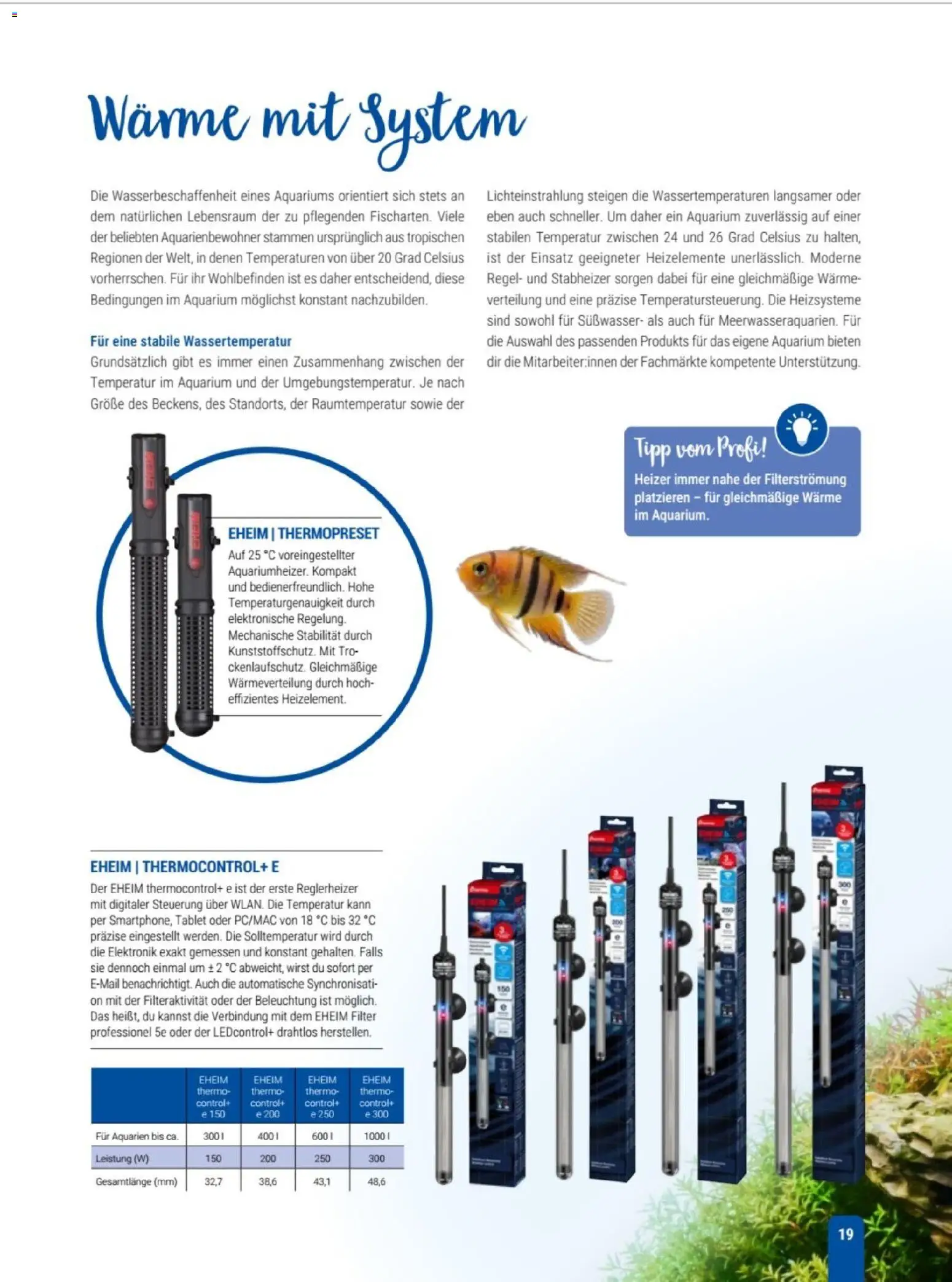 zookauf Themenkatalog Aqua – gültig ab 01.10.2026 | Seite: 19 | Produkte: Tablet
