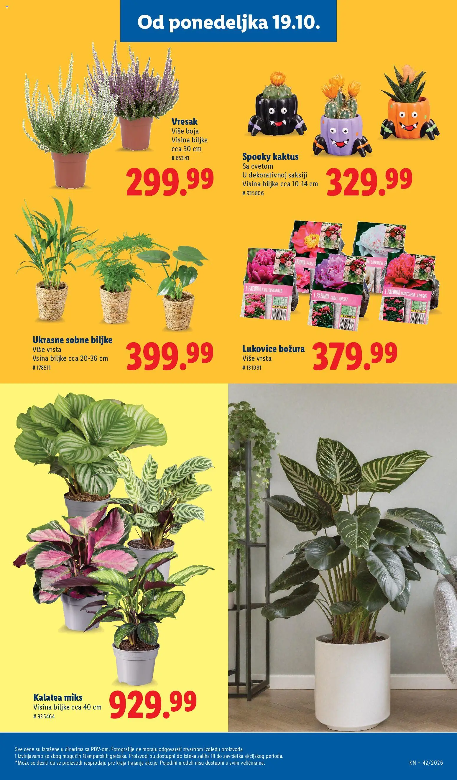 Lidl katalog - važi od 15.10.2026 | Strana: 67