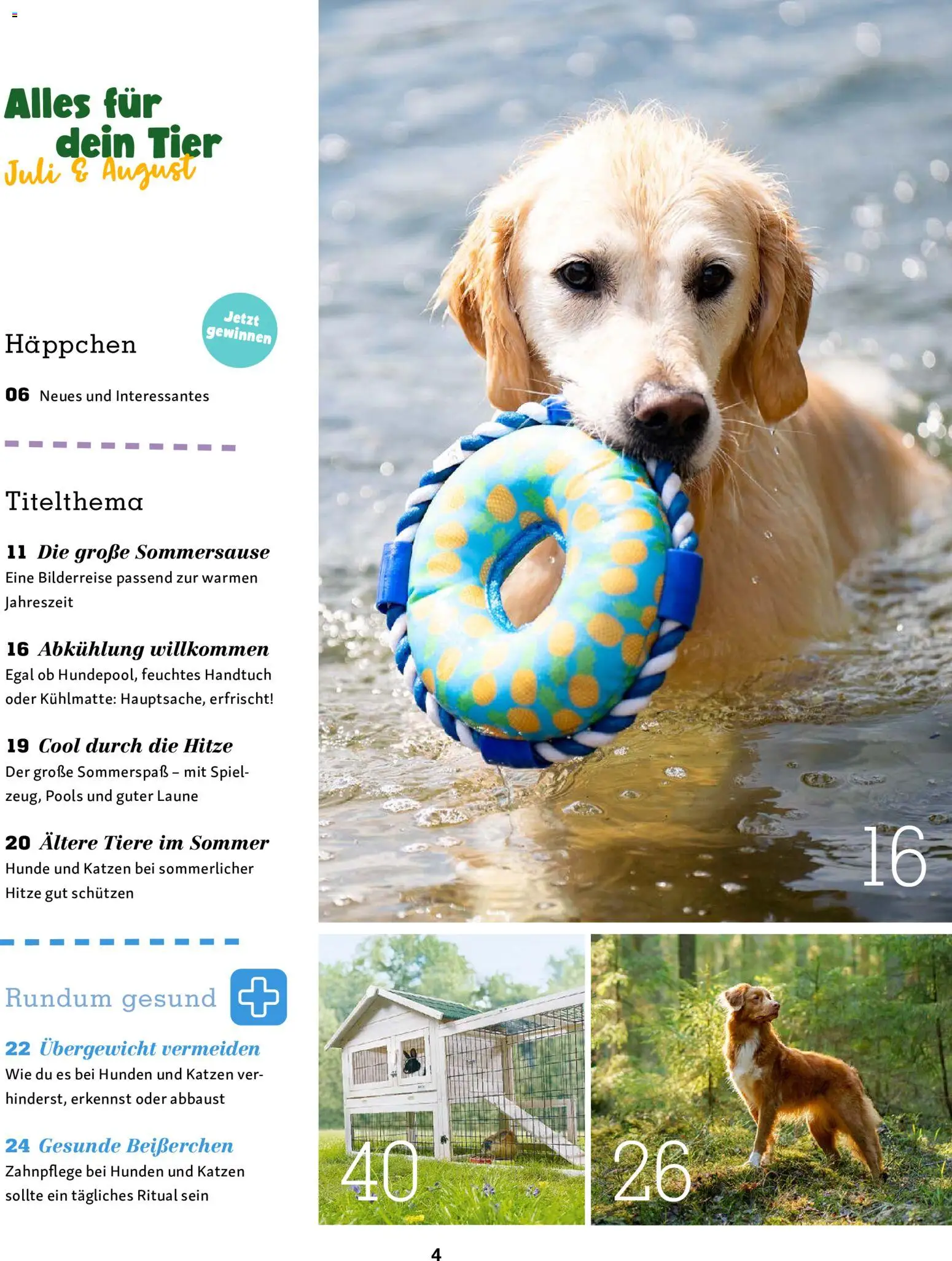 Fressnapf Friends Magazin – gültig ab 01.07.2026 | Seite: 4 | Produkte: Spiel
