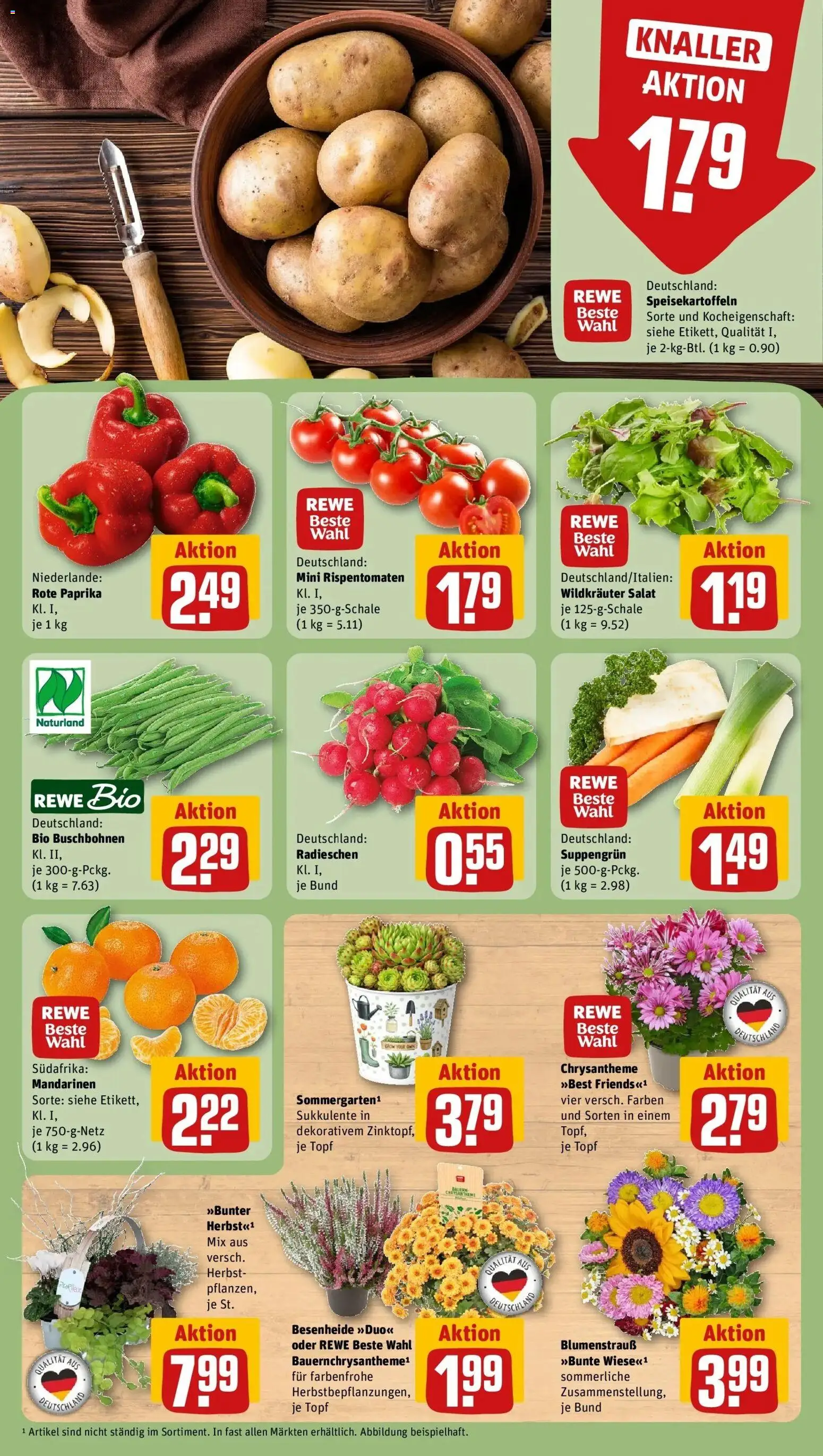 REWE Prospekt ab 07.09.2026 zum Blättern » Angebote | Seite: 7 | Produkte: Mandarinen, Paprika, Rote Paprika, Salat