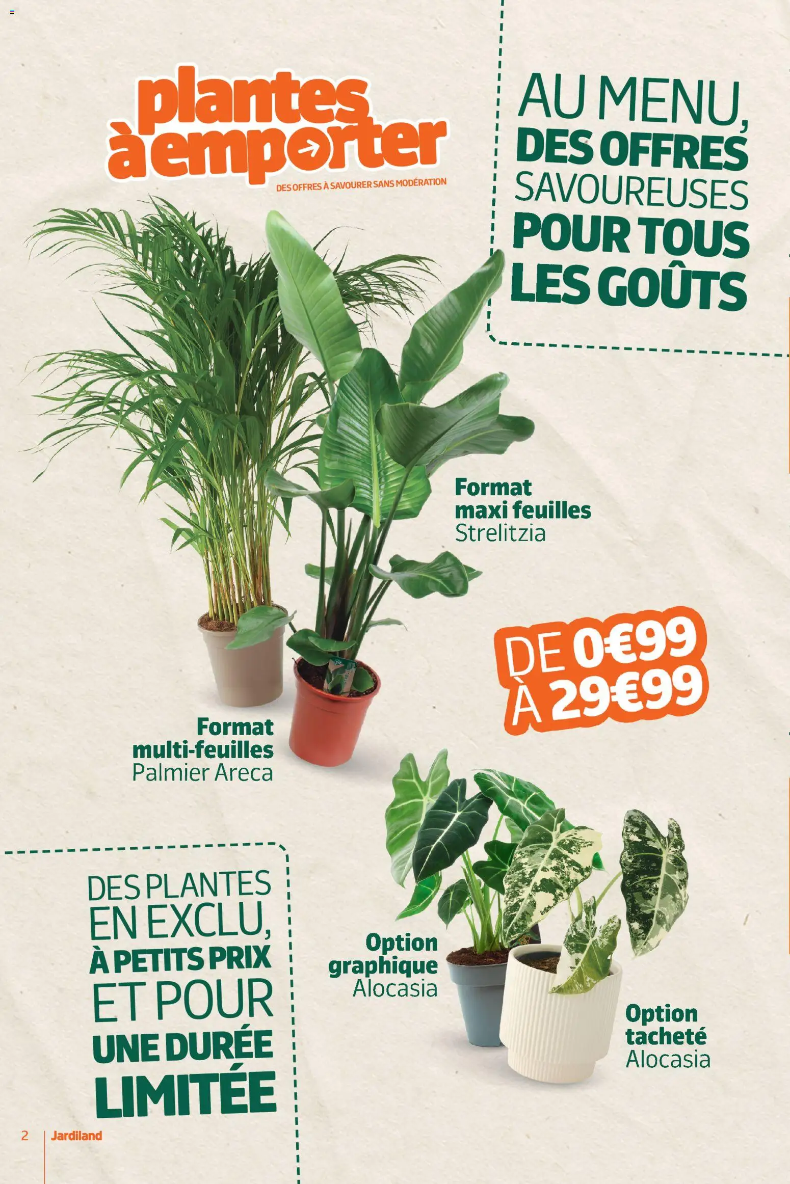 {H1} | Page: 2 | Produits: Plantes, Palmier