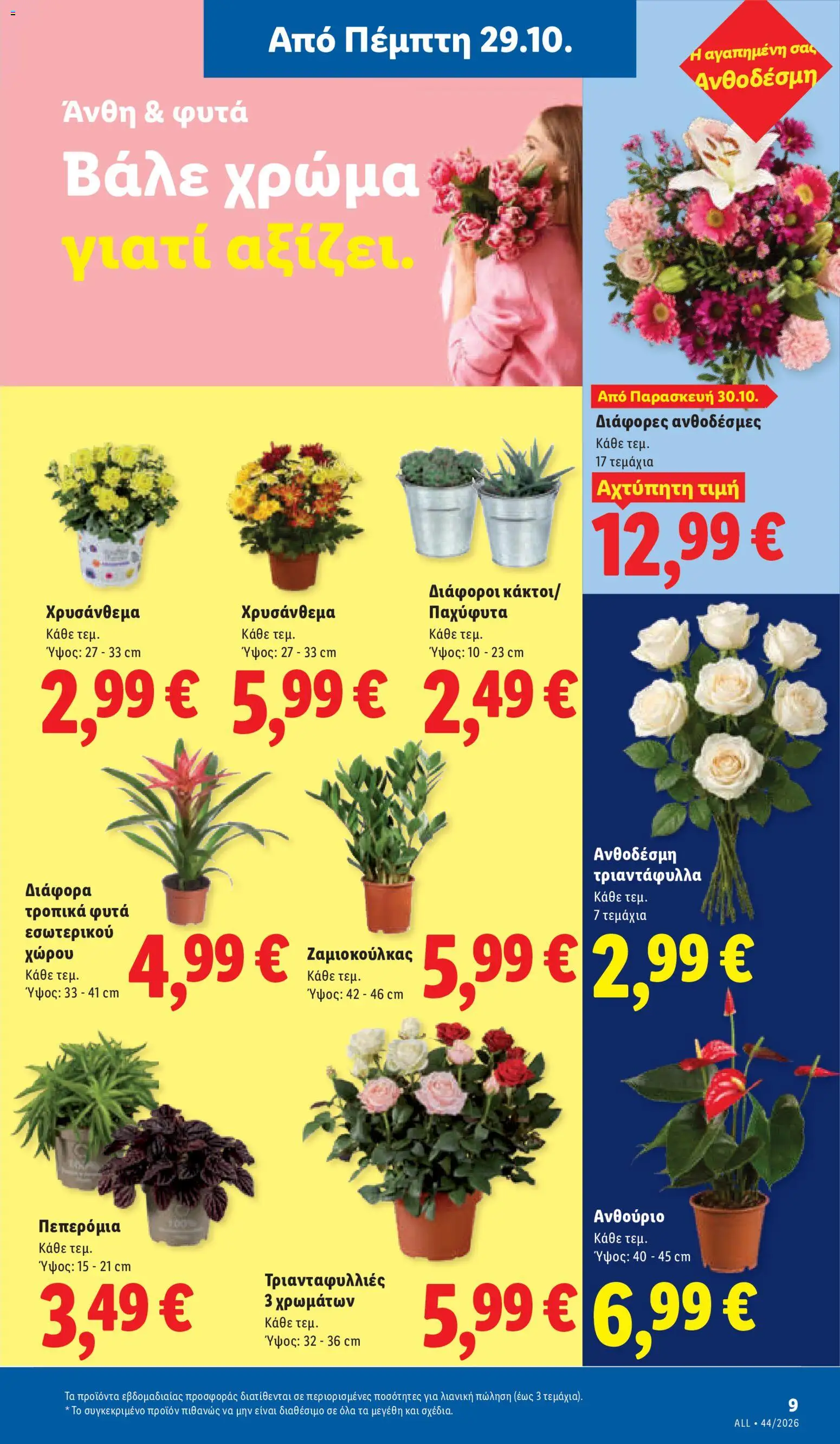 Lidl Φυλλάδιο - σε ισχύ από 29/10/2026 | Σελίδα: 43