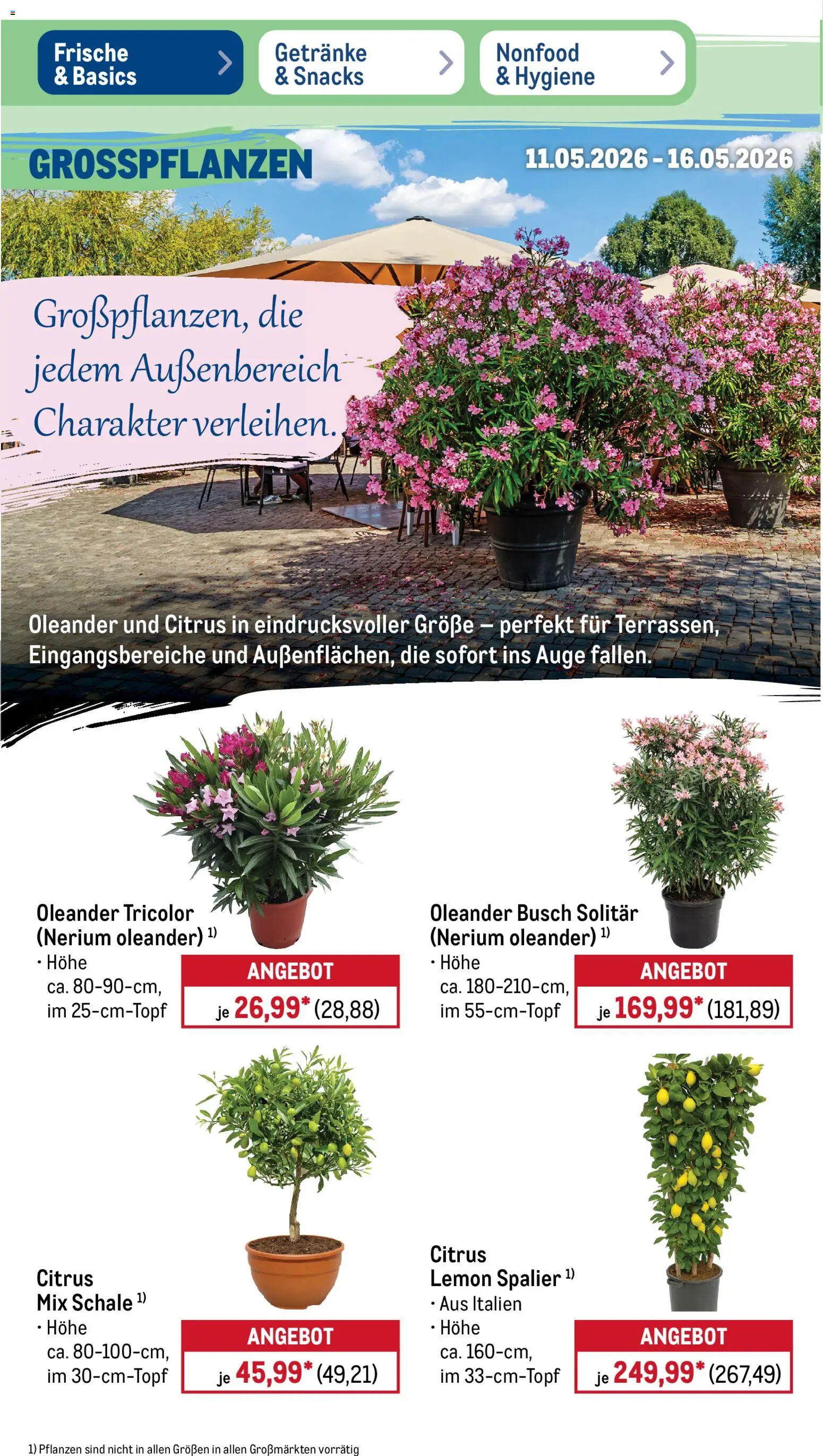 Metro Prospekt 	 – gültig ab 11.05.2026 | Seite: 8