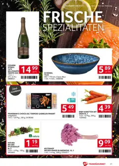 Transgourmet Flugblatt ab 07.09.2026 gültig | Seite: 27 | Produkte: Blumenkohl