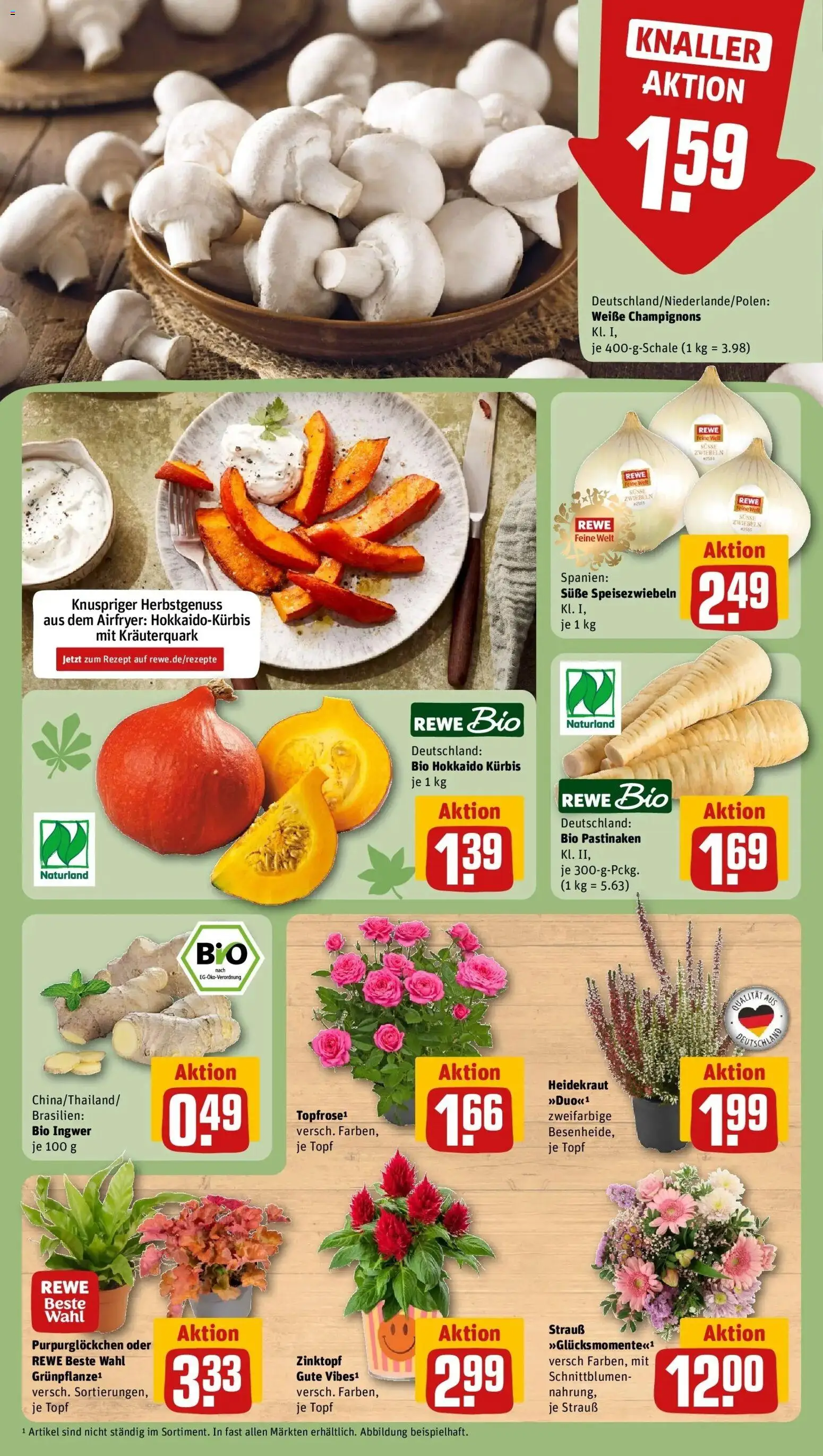 REWE Prospekt ab 28.09.2026 zum Blättern » Angebote | Seite: 13 | Produkte: Champignons, Zwiebeln, Kürbis