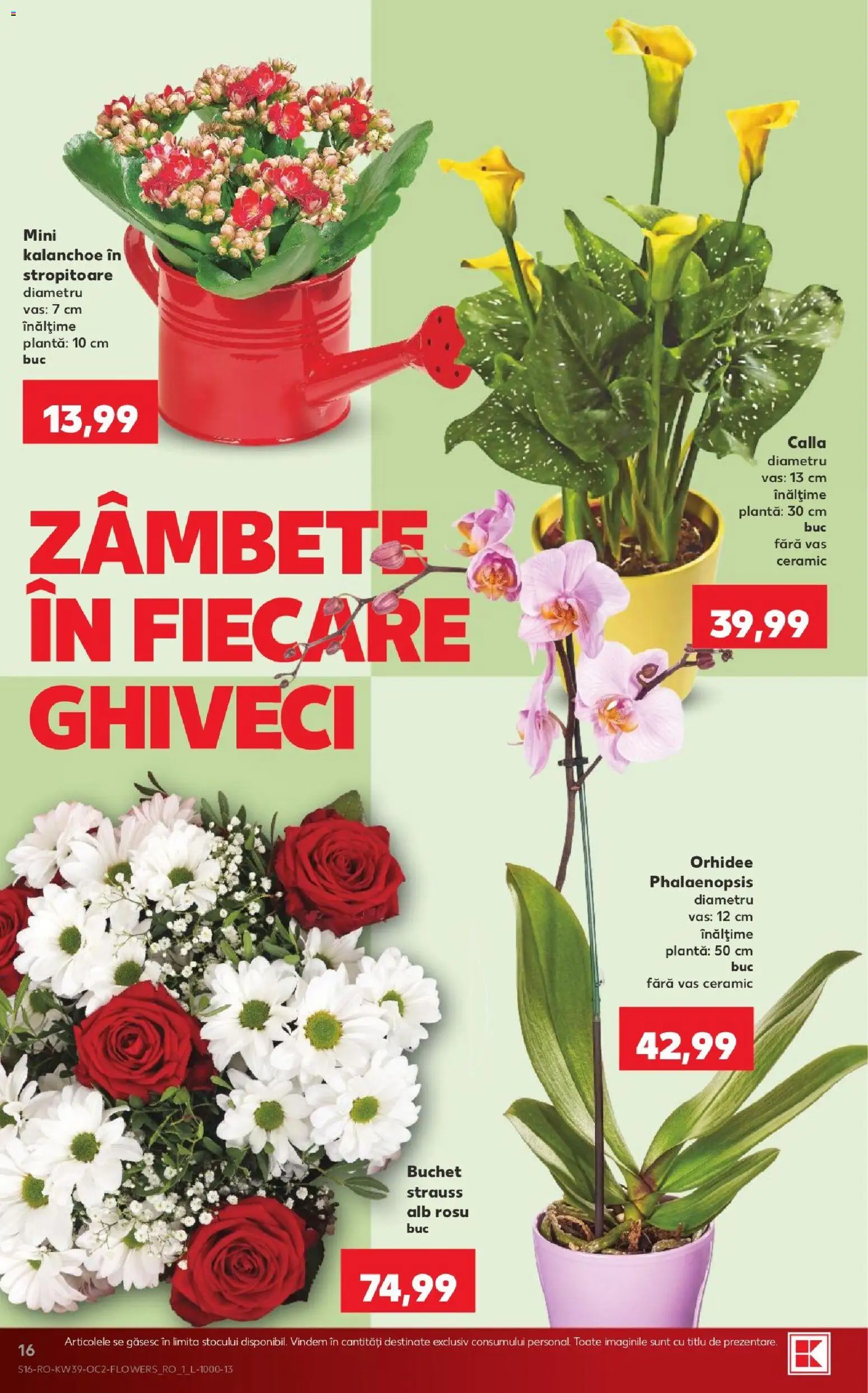 Noul catalog Kaufland – valabil de la 23.09.2026 | Pagină: 16 | Produse: Orhidee, Ghiveci