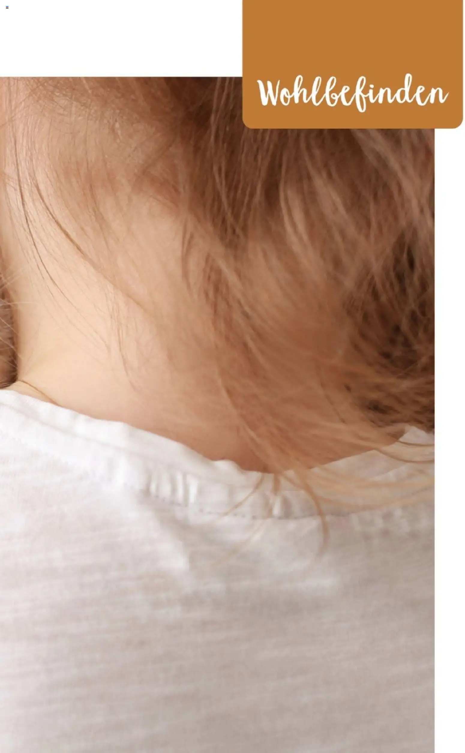 zookauf Themenkatalog Katze – gültig ab 01.10.2026 | Seite: 49