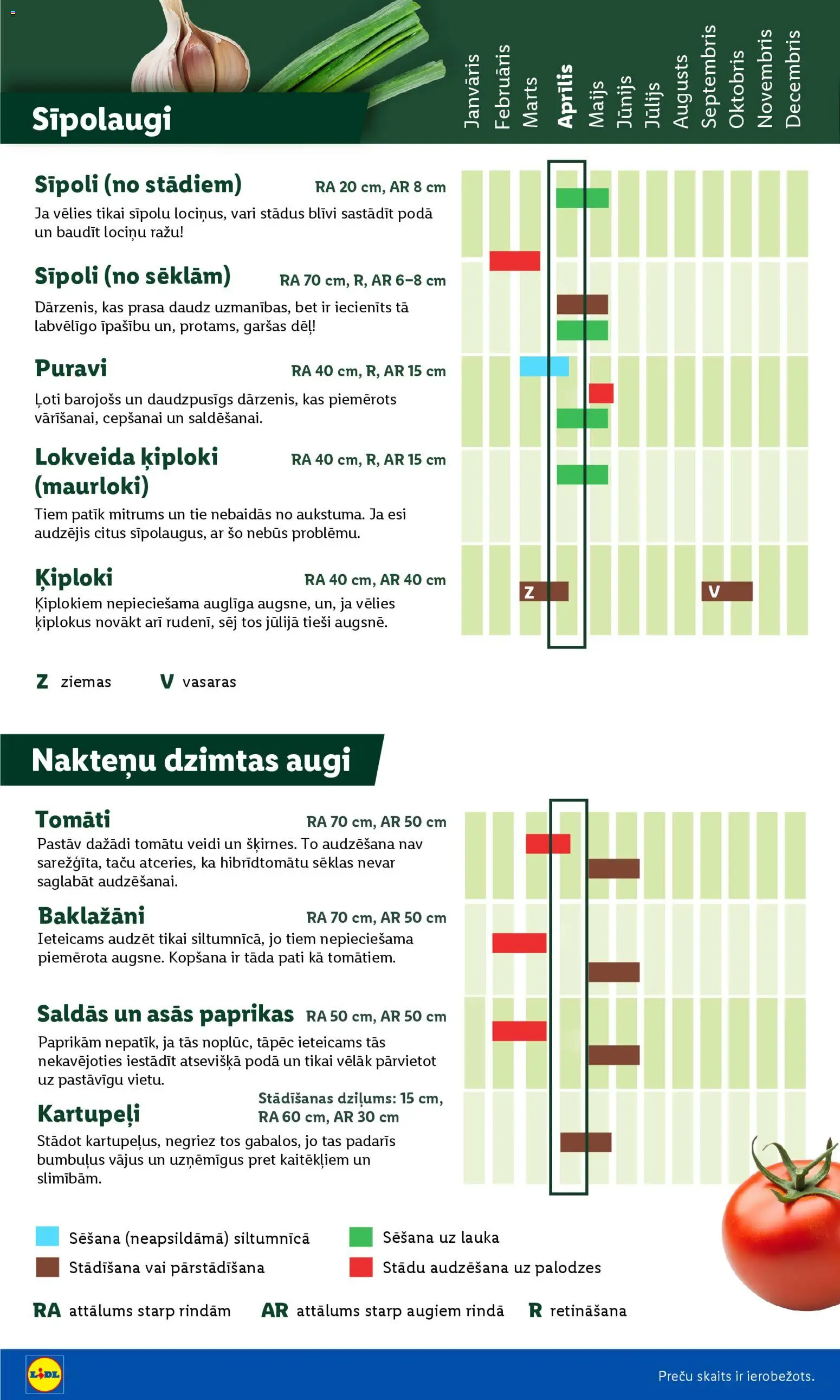  | Lappuse: 6