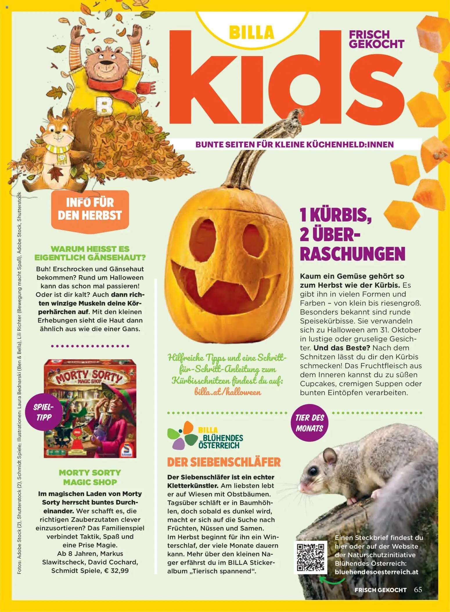 Billa AT akciós ujság - amely érvényes a következő dátumtól: 2026.10.01. | Oldal: 65 | Termékek: Só