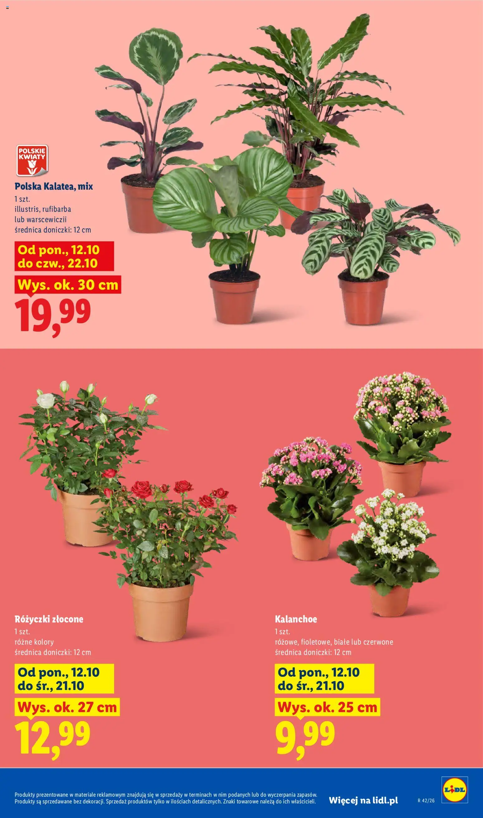 Lidl Polsko leták od 12.10.2026 | Strana: 9