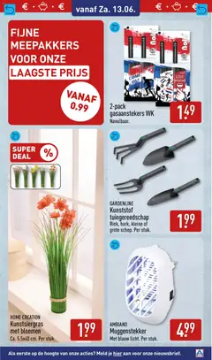 Aldi folder week 24 - Voorbeeld van een folder van Aldi, geldig van 08.06.2026 | Pagina: 51 | Producten: Bloemen