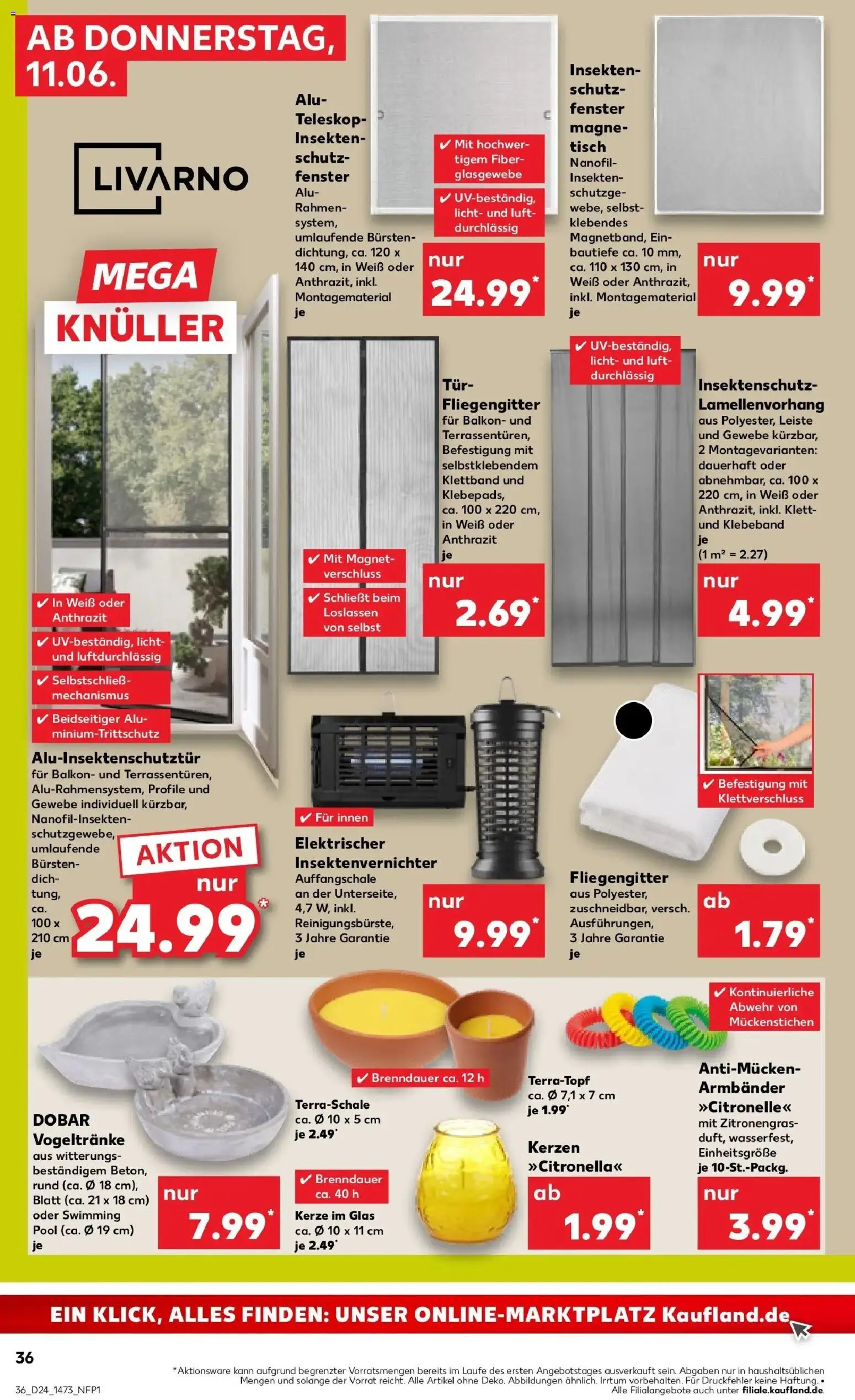 Kaufland Prospekt Zossen – gültig ab 11.06.2026 | Seite: 36 | Produkte: Zitronengras, Tisch, Tür