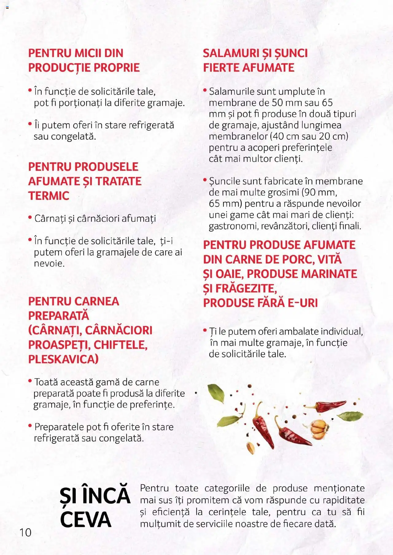 Noul catalog Selgros – valabil de la 27.04.2023 | Pagină: 10 | Produse: Cârnați