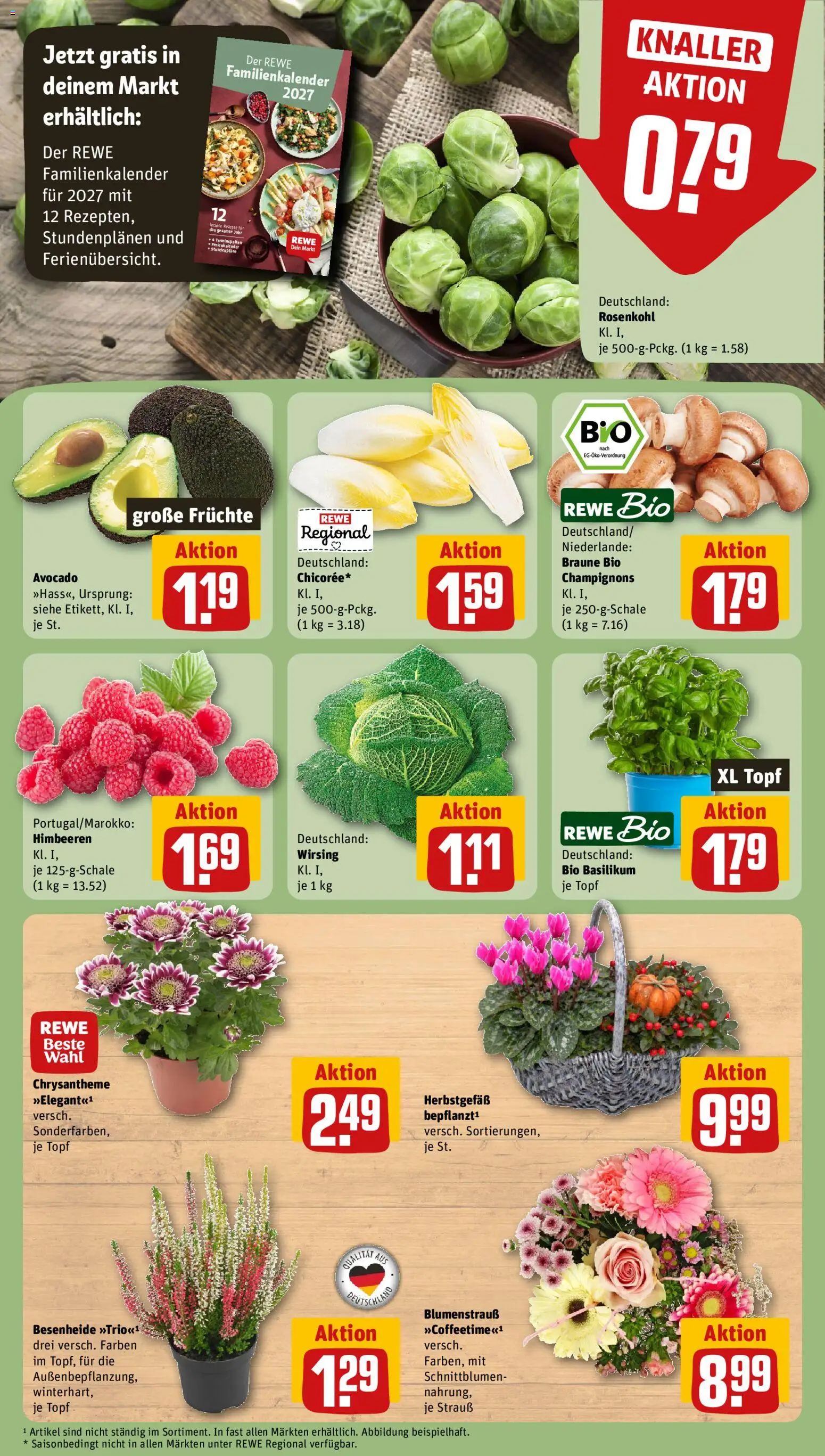Rewe Prospekt – gültig ab 19.10.2026 | Seite: 11
