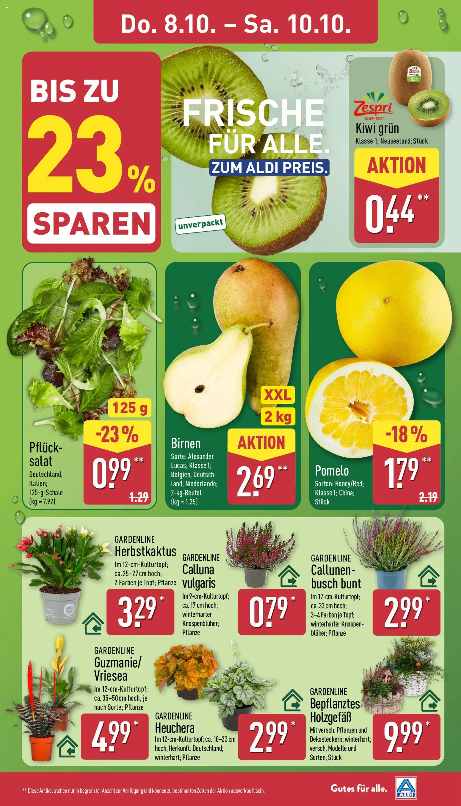 Aldi Prospekt – gültig ab 05.10.2026 | Seite: 29 | Produkte: Kiwi, Salat