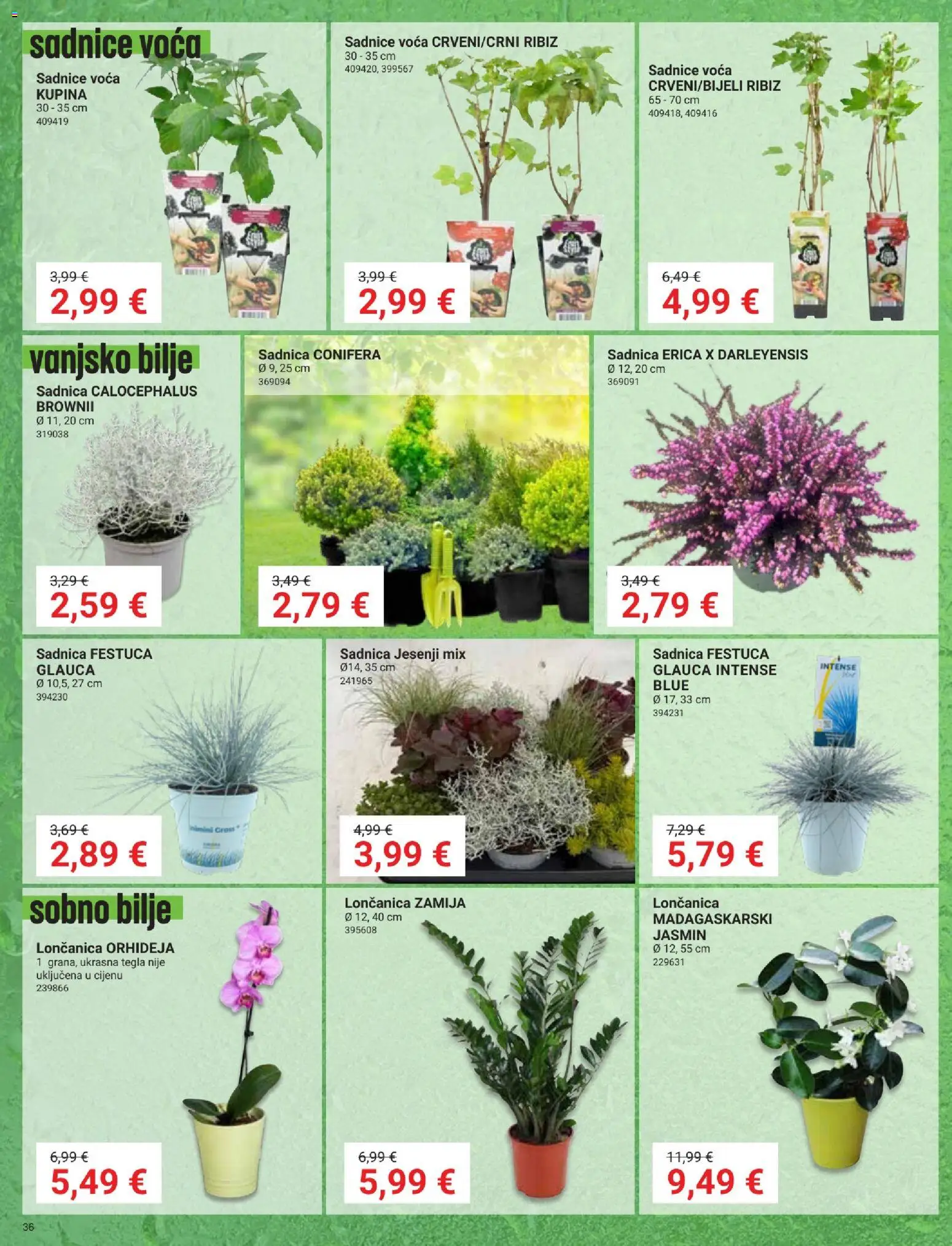 Pevex katalog | vrijedi od 24.09.2026 | Stranica: 36