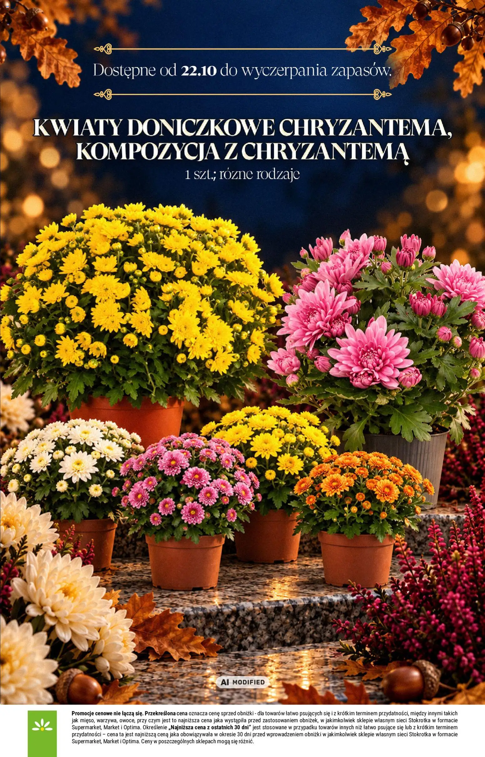Stokrotka gazetka - Katalog Znicze od 01.10.2026 | Strona: 16 | Produkty: Stokrotka, Kwiaty doniczkowe, Kwiaty
