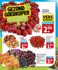 Hoogvliet folder - Voorbeeld van een folder van Hoogvliet, geldig van 15-07-2026 | Pagina: 10