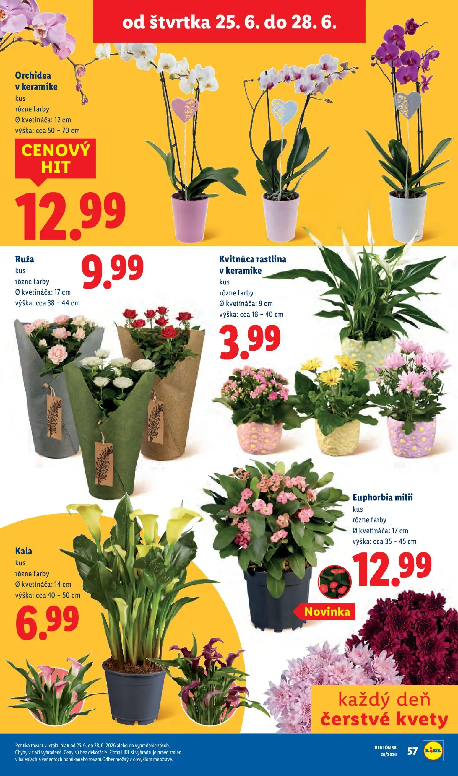 Nové Lidl akcie – leták je platný od 22.06.2026 | Strana: 78