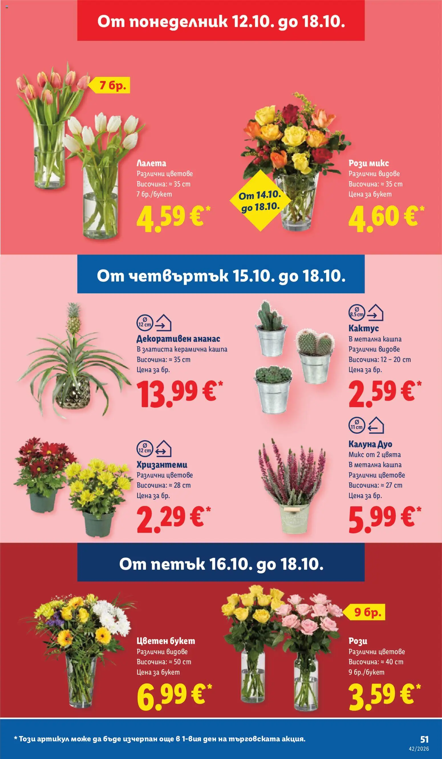 {H1} | Страница: 51 | Продукти: Лалета, Кашпа, Ананас