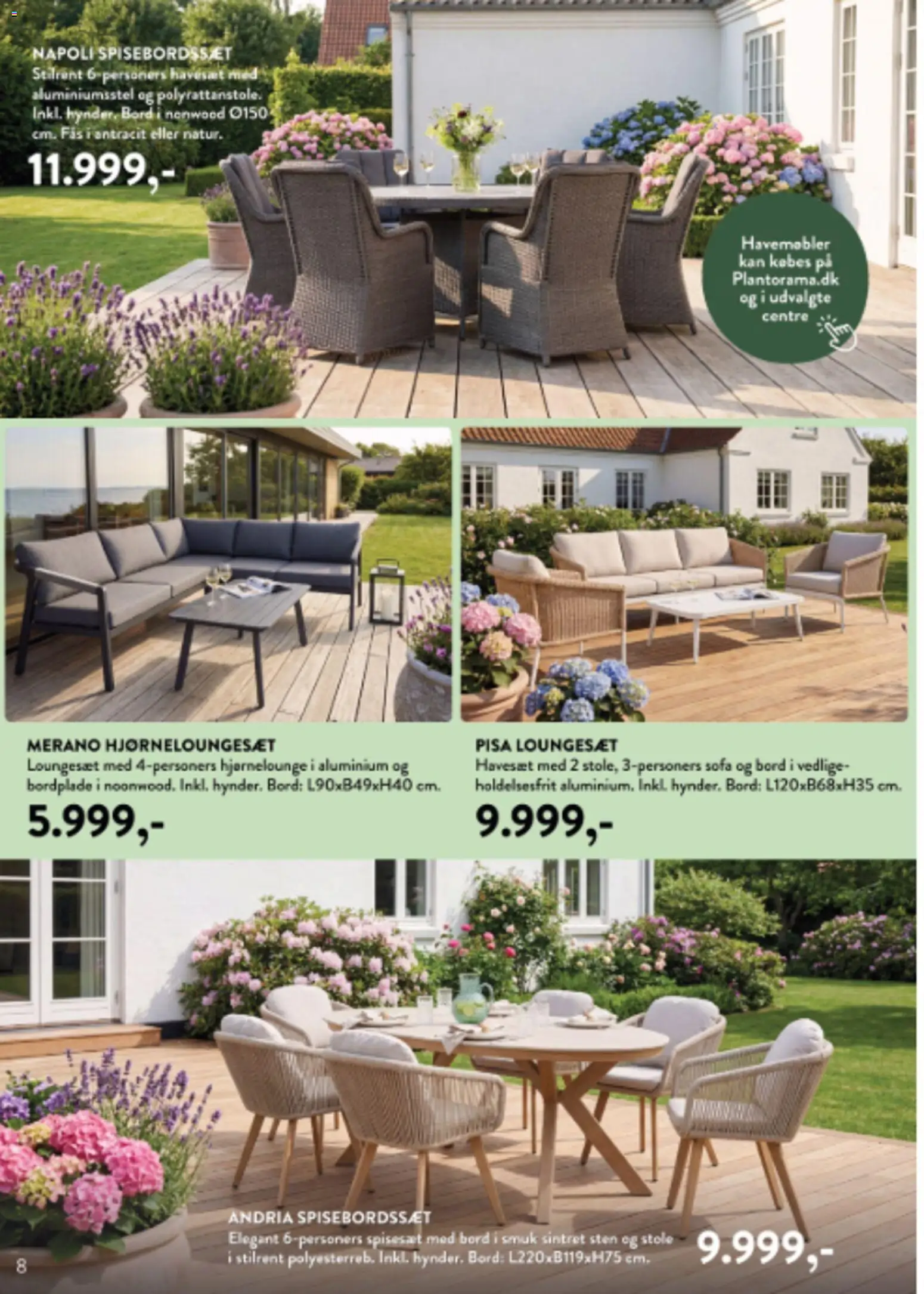 Plantorama tilbudsavis – gyldig fra 04.06.2026 | Side: 8