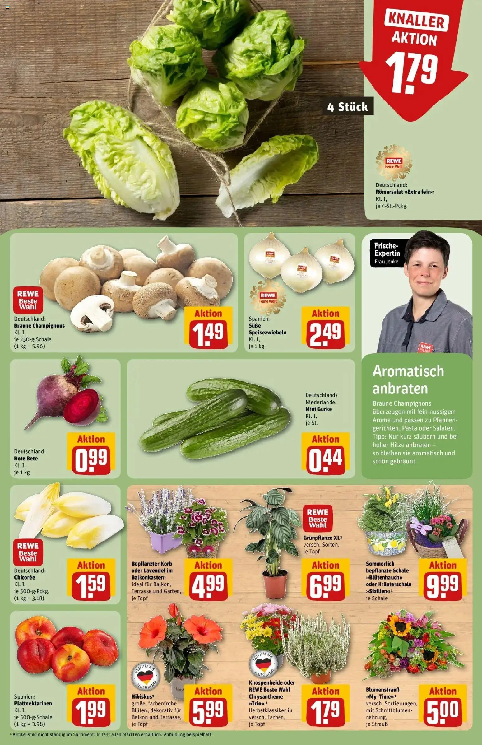 REWE Prospekt ab 17.08.2026 zum Blättern » Angebote | Seite: 9 | Produkte: Korb, Champignons, Pasta, Lavendel