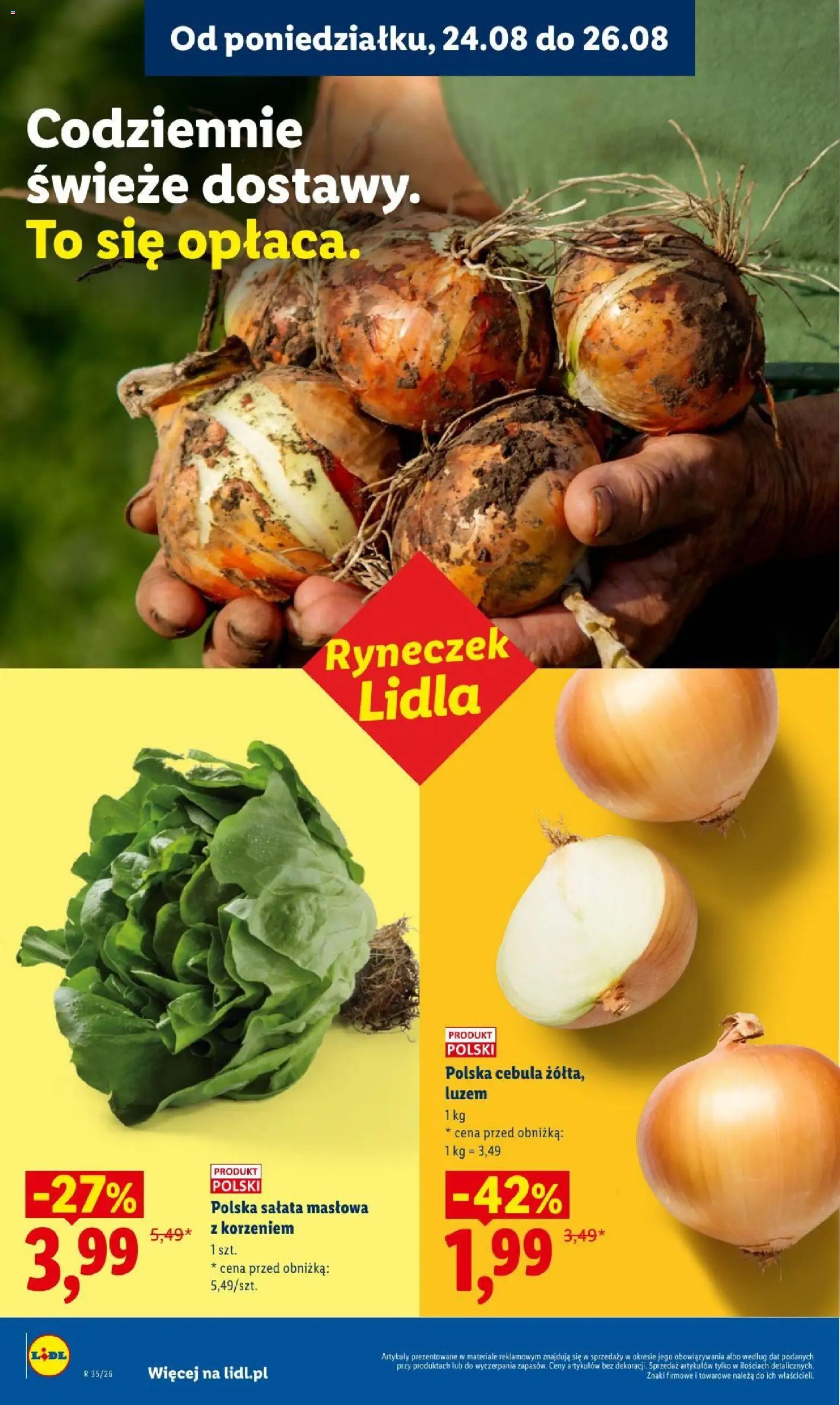 Lidl gazetka od 24.08.2026 | Strona: 38 | Produkty: Cebula, Sałata