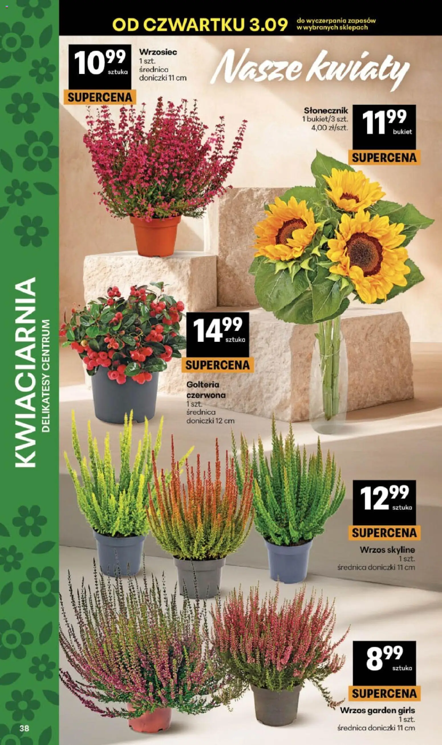 Delikatesy Centrum gazetka od 03.09.2026 | Strona: 38 | Produkty: Wrzos, Delikatesy, Słonecznik, Doniczki
