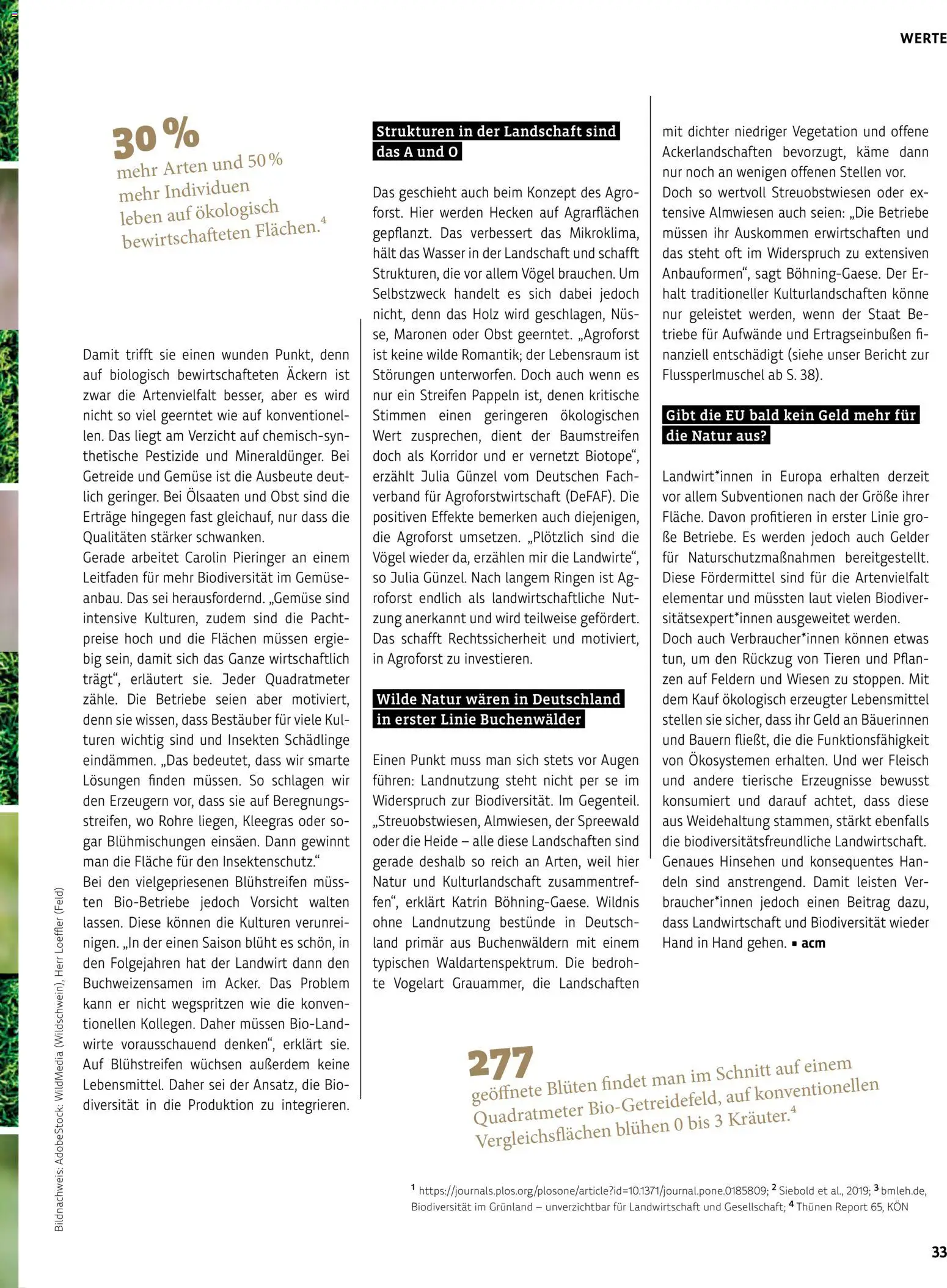 Denns BioMarkt Kreo Magazin – gültig ab 17.07.2026 | Seite: 33 | Produkte: Wasser, Gemüse, Getreide, Fleisch