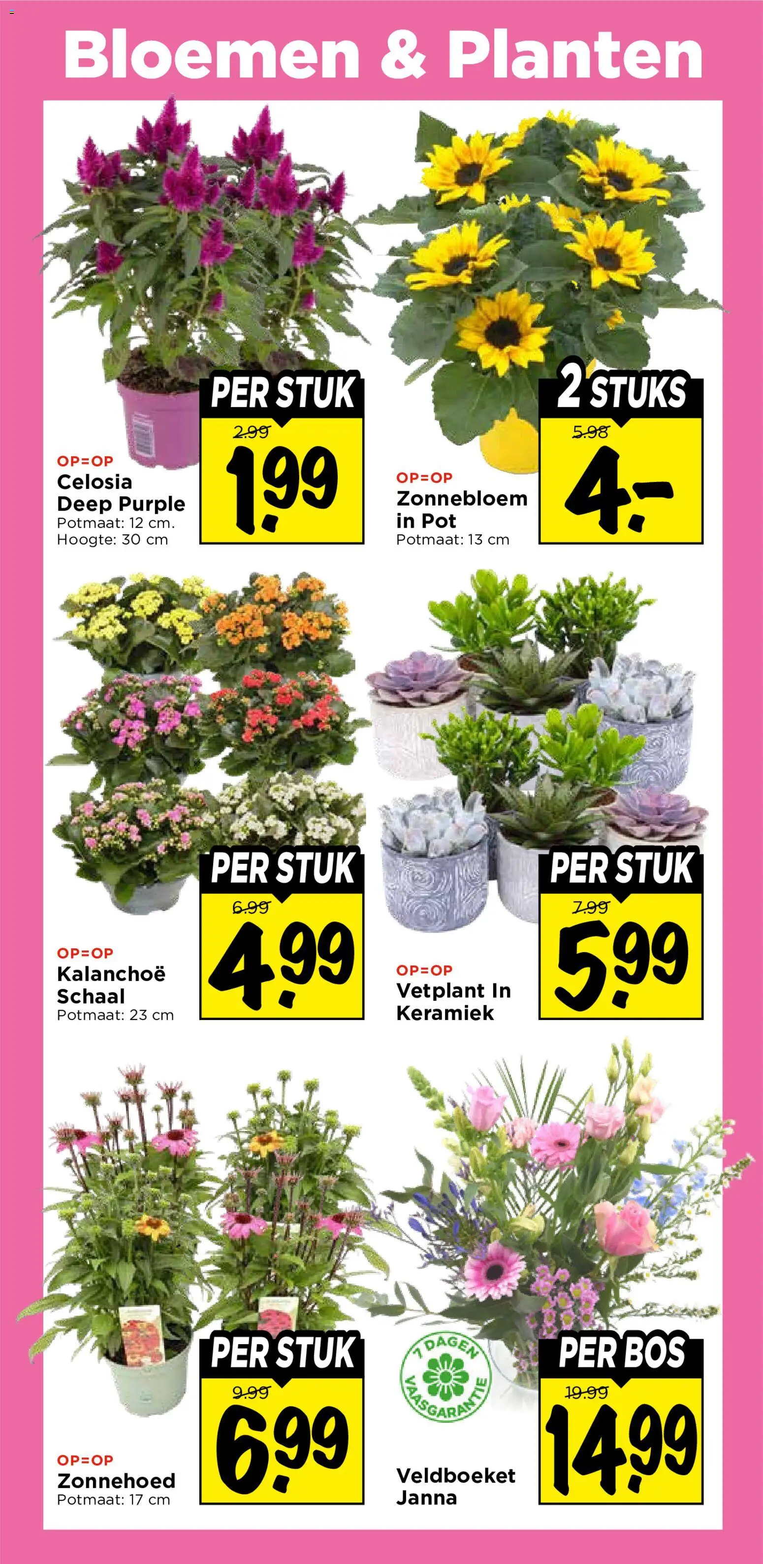 {H1} | Pagina: 35 | Producten: Pot, Schaal, Bloemen, Keramiek