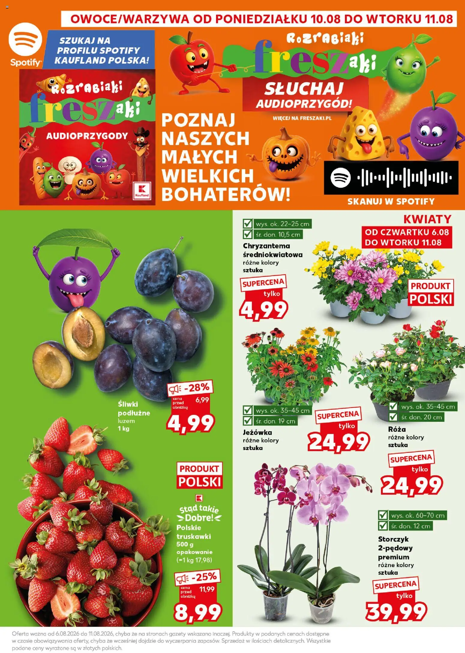 Kaufland Polsko leták - Mocny start od 10.08.2026 | Strana: 3 | Produkty: Storczyk
