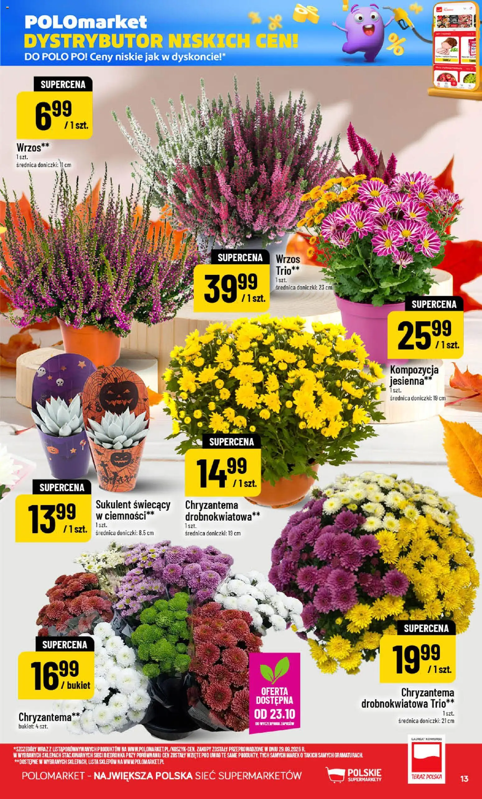 POLOmarket gazetka od 21.10.2026 | Strona: 13