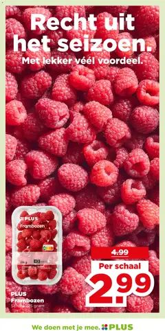PLUS Frambozen, Schaal 225 gram - Voorbeeld van een folder van Plus, geldig van 17.06.2026 | Pagina: 17 | Producten: Schaal, Frambozen
