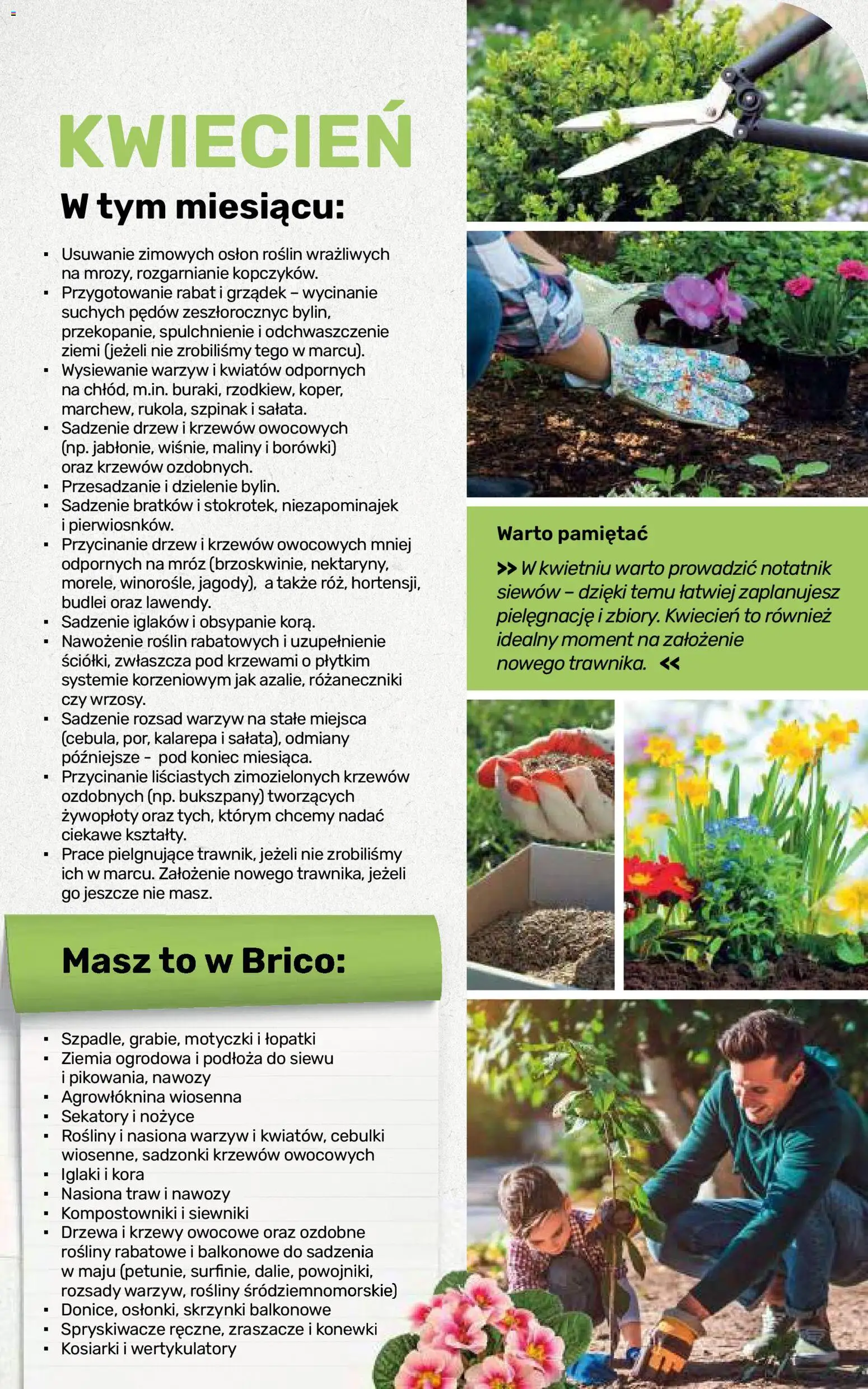 Brico Marché gazetka - Jesienne Inspiracje od 17.08.2026 | Strona: 103 | Produkty: Maliny, Ziemia, Krzewy owocowe, Nasiona
