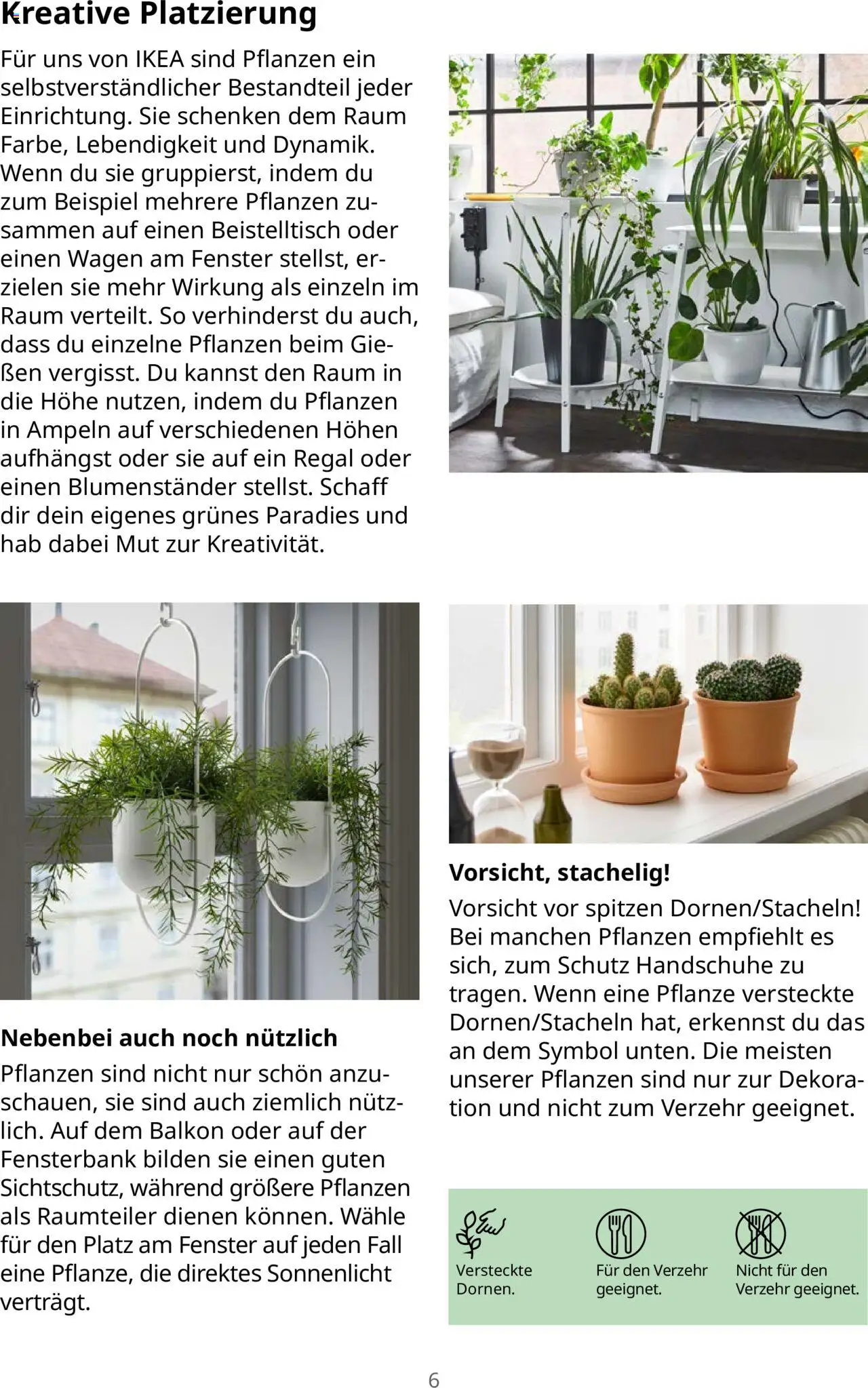 Ikea Pflanzen Broschüre – gültig ab 30.09.2025 | Seite: 6 | Produkte: Beistelltisch, Raumteiler, Regal, Handschuhe