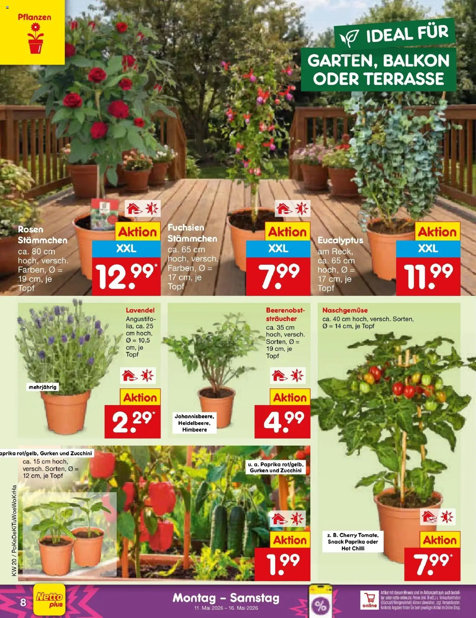 Netto Marken-Discount Prospekt Bonn	 (ab 10.05.2026) » Angebote | Seite: 10