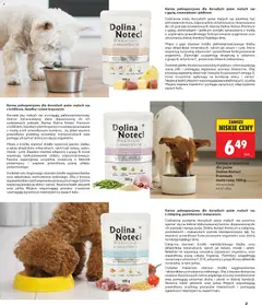 Pogląd oferty "Biedronka gazetka - Blisko pupila" - ważna od 21.05.2026 | Strona: 27