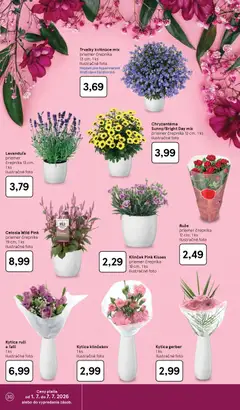 Tesco leták platný od 01.07.2026 | Strana: 30