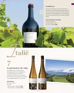 Hanos folder - Wijnspecial 2026 - Voorbeeld van een folder van Hanos, geldig van 06.04.2026 | Pagina: 33 | Producten: Aardbeien, Fles, Geur