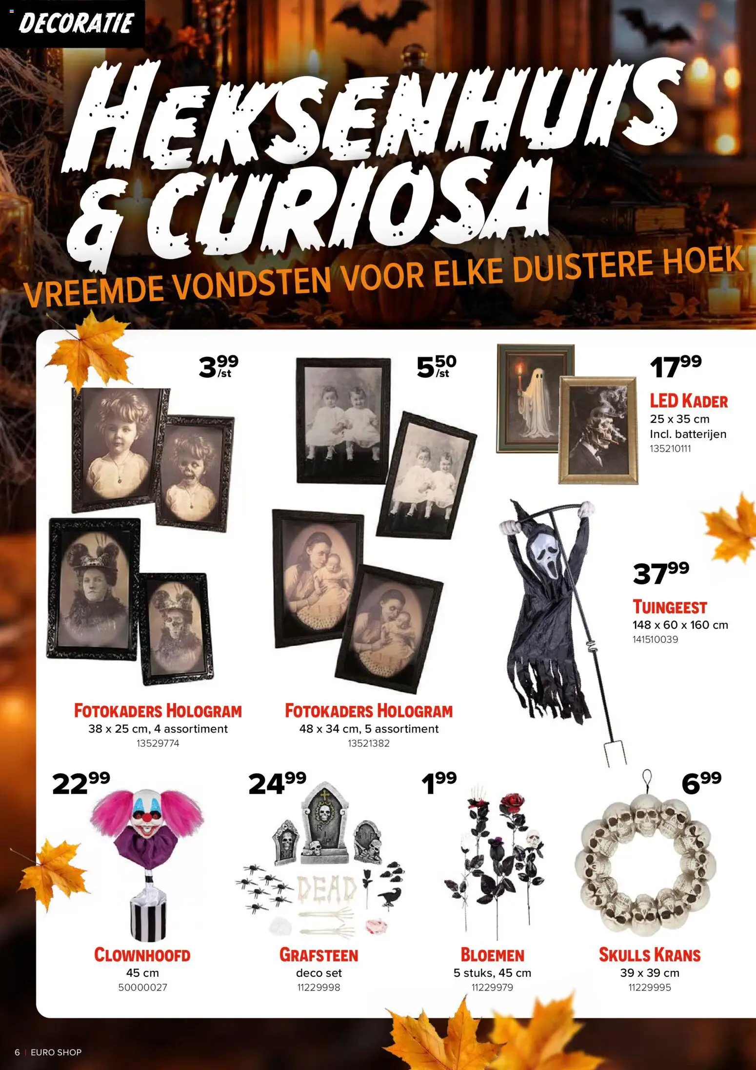 {H1} | Pagina: 6 | Producten: Bloemen, Decoratie, Batterijen