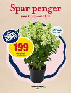 Forhåndsvisning av Coop Marked kundeavis gyldig fra 03/08/2026 | Side: 10 | Produkter: Cremă pentru față