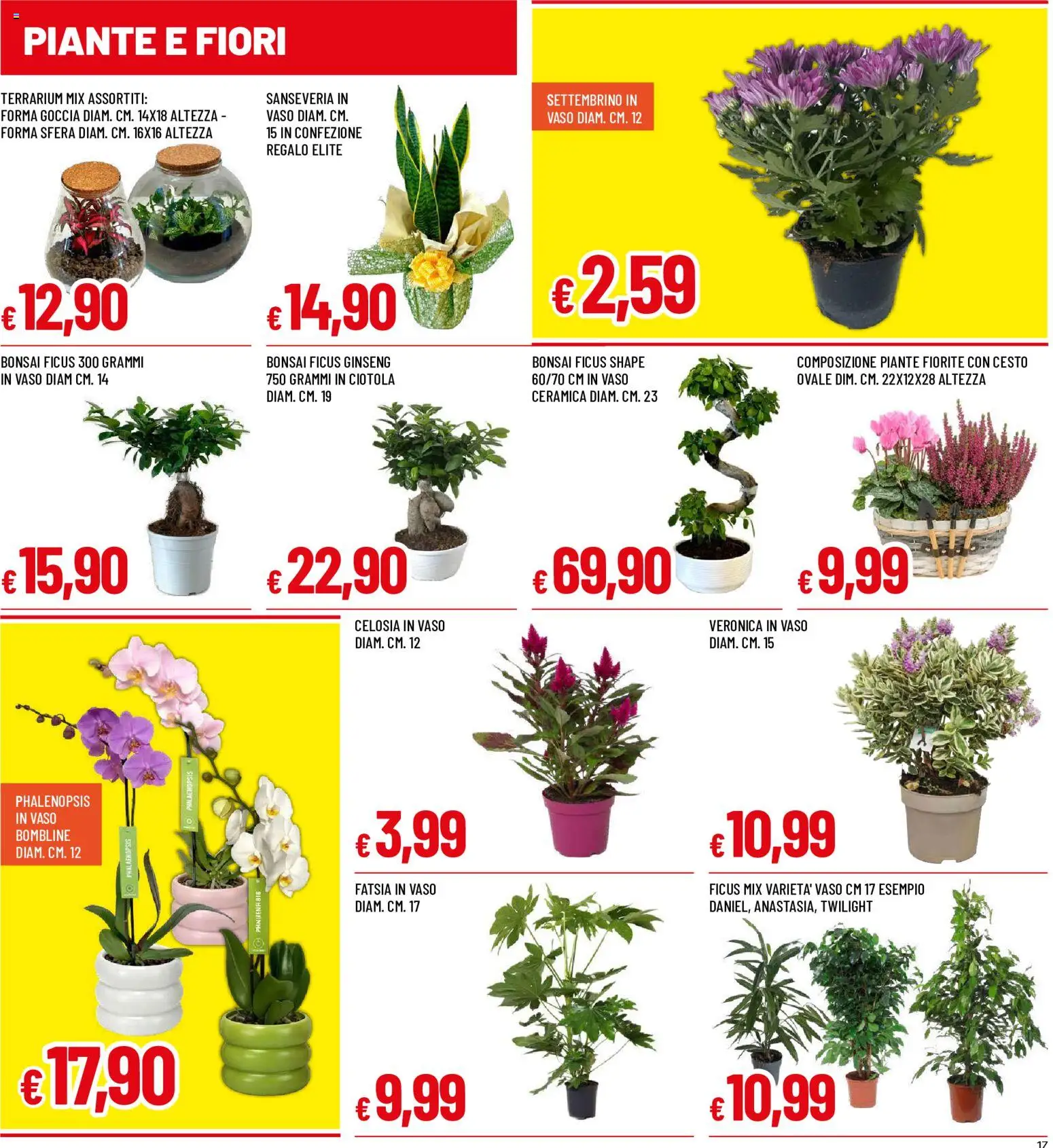 Volantino Galassia del 17/09/2026 | Pagina: 17 | Prodotti: Fiori, Ciotola, Vaso