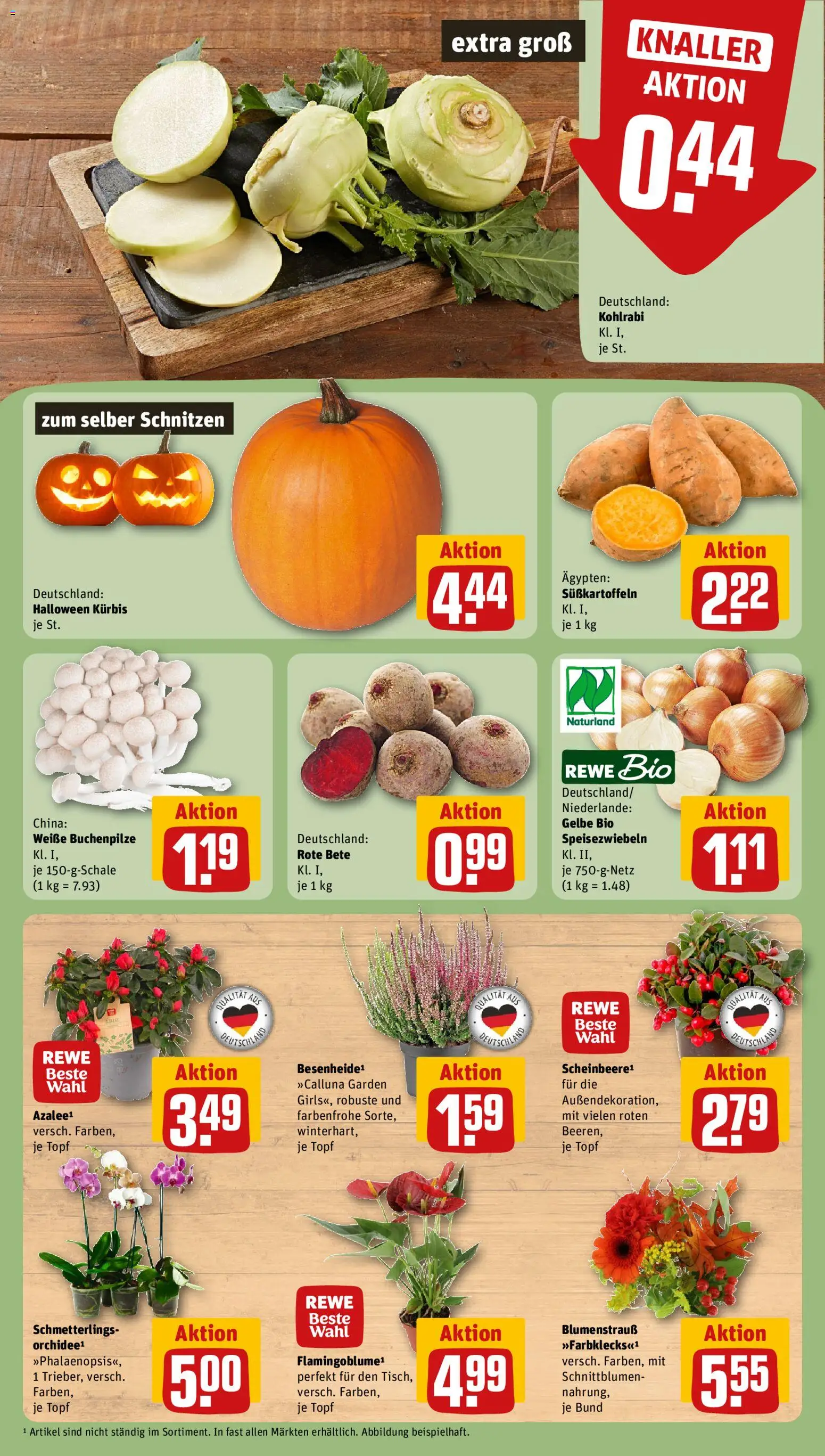 Rewe Prospekt – gültig ab 12.10.2026 | Seite: 5