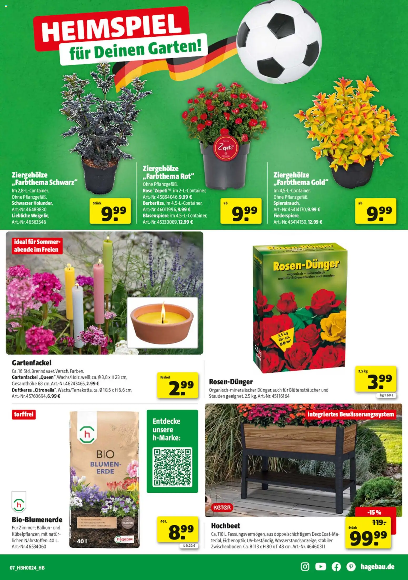 Hagebau Prospekt – gültig ab 06.06.2026 | Seite: 7 | Produkte: Hochbeet, Blumen