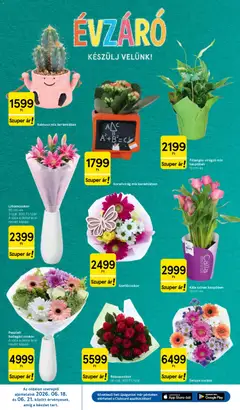 Tesco aktuális akciós újság - amely érvényes a következő dátumtól: 18.06.2026 | Oldal: 10 | Termékek: Váza, Dekoráció