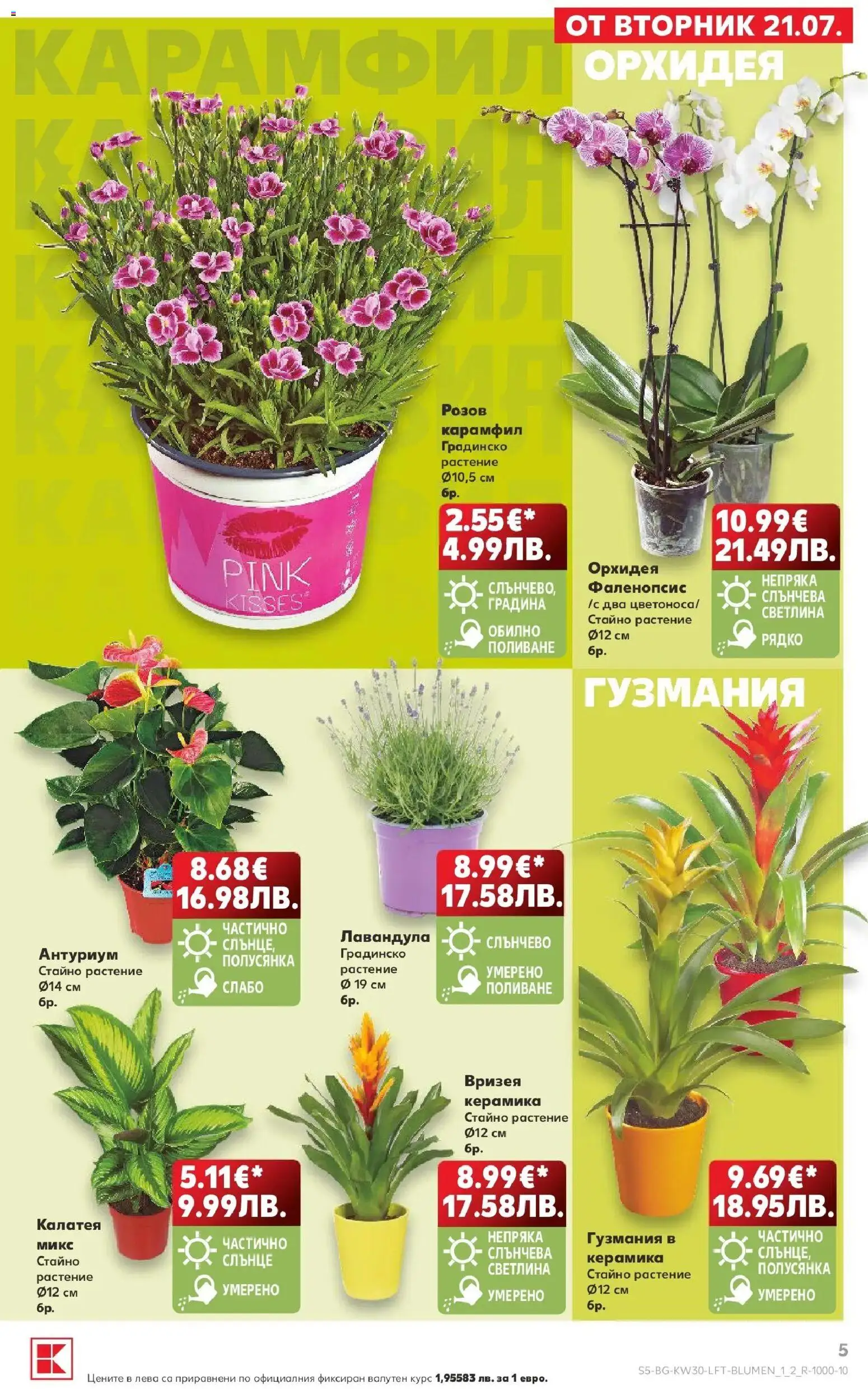 {H1} | Страница: 5 | Продукти: Орхидея, Карамфил