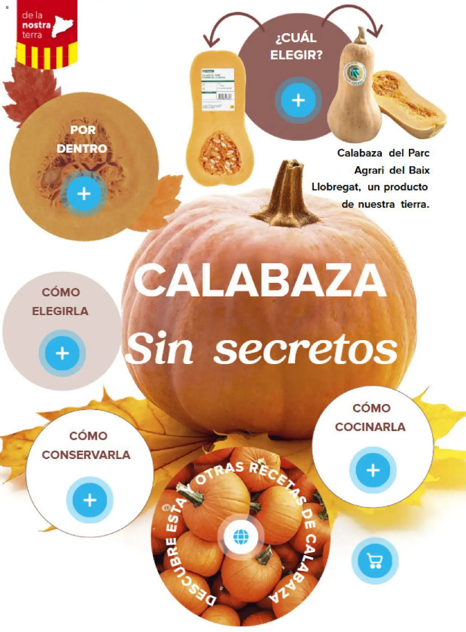 Caprabo Revista │ válido desde el 01/10/2026 | Página: 13 | Productos: Calabaza