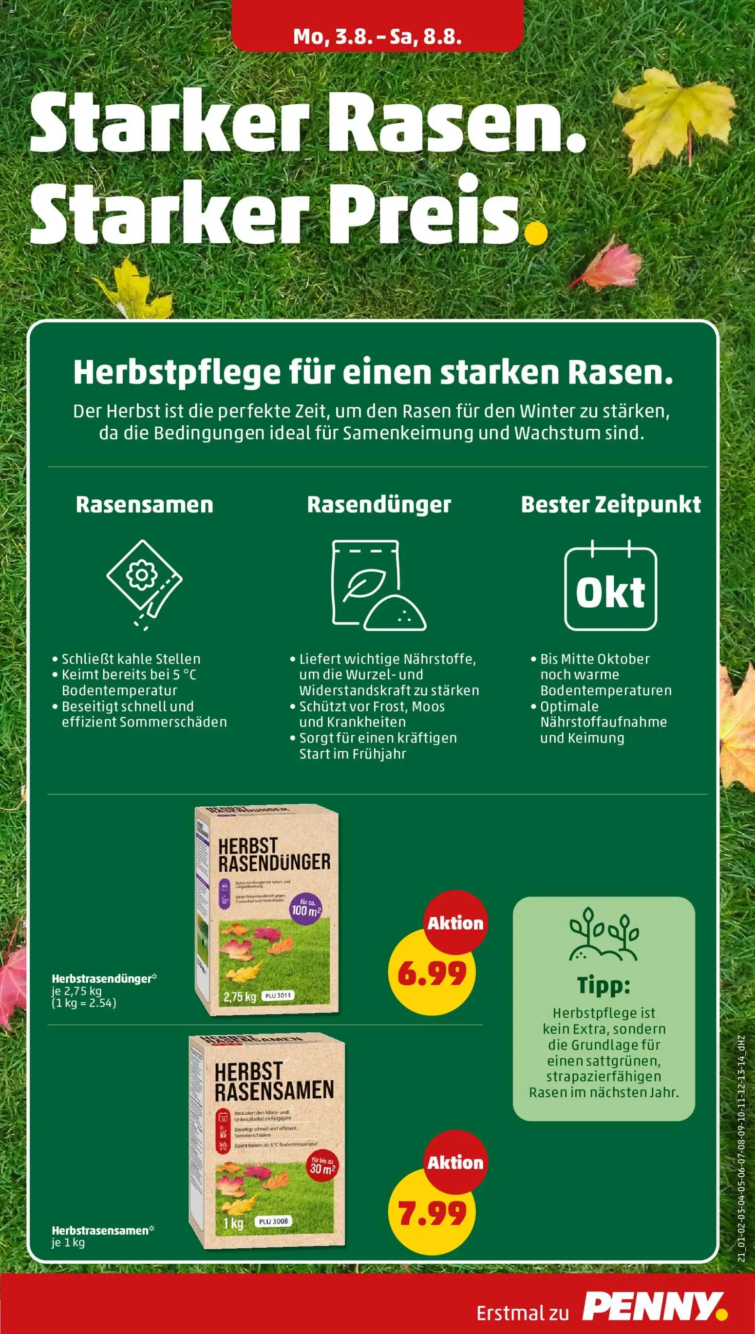 Penny Prospekt – gültig ab 03.08.2026 | Seite: 25