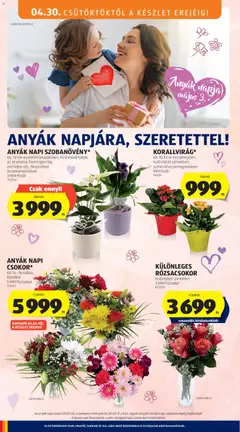 KÜLÖNLEGES RÓZSACSOKOR, különböző színekben - amely érvényes a következő dátumtól: 30.04.2026 | Oldal: 18