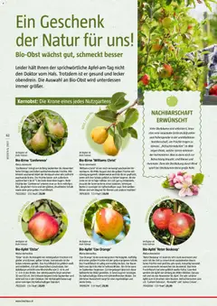 Bauhaus Reiche Ernte ab 25.05.2026 gültig | Seite: 62
